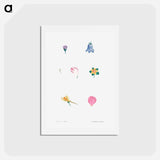 アートポストカード-Flower set from La Botanique de J. J. Rousseau - ピエール ジョゼフ ルドゥーテ Postcard.