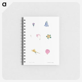 1-59_Pierre-Joseph-Redoute_memo