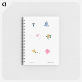 アートメモ帳-Flower set from La Botanique de J. J. Rousseau - ピエール ジョゼフ ルドゥーテ Memo.