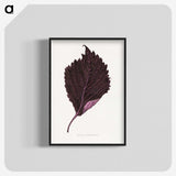 1-59_Plants-with-Colored-Foliage_blk-crop