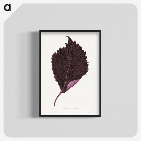 1-59_Plants-with-Colored-Foliage_blk-crop