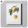 1-59_Pomona-Italiana_canvas