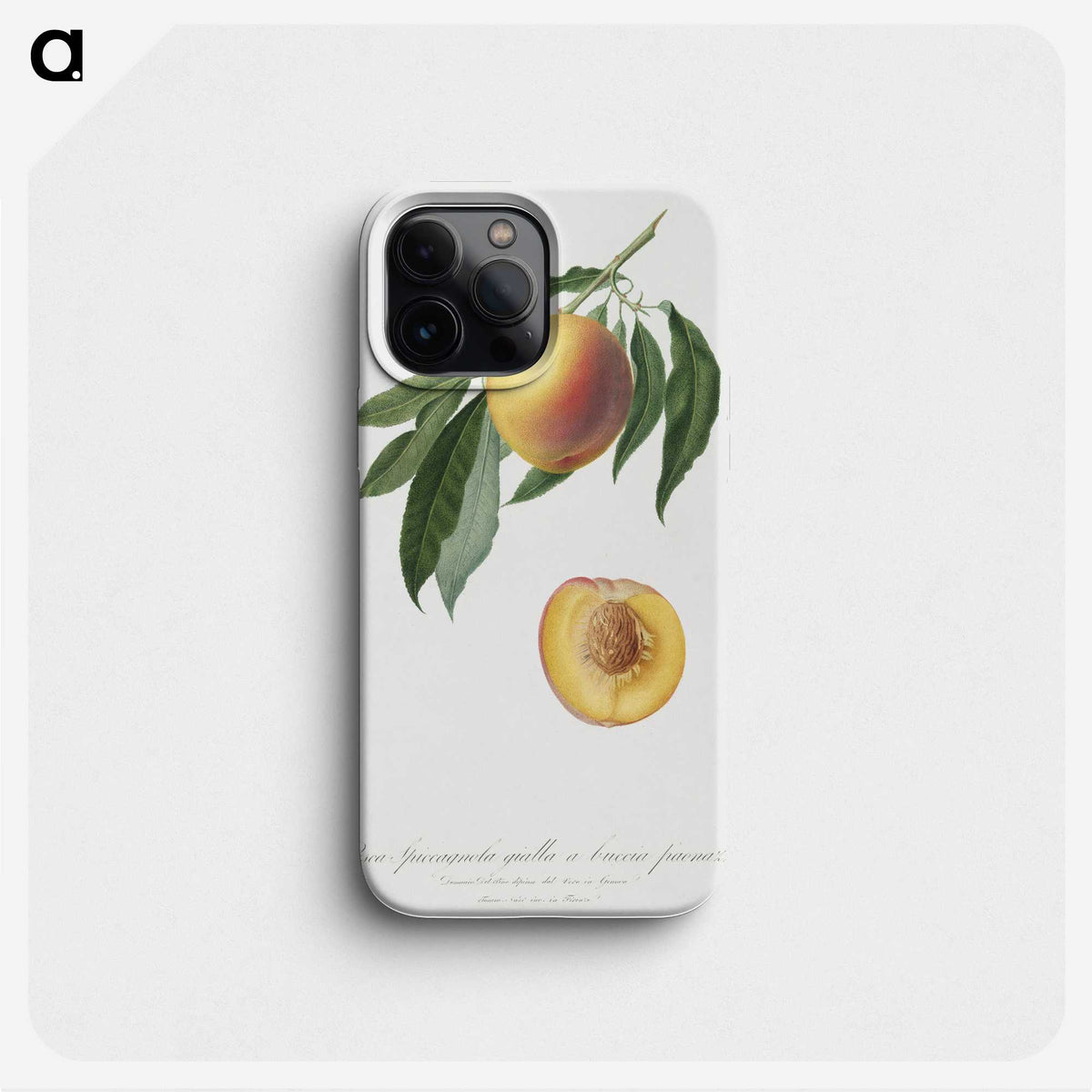 1-59_Pomona-Italiana_phone