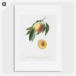 1-59_Pomona-Italiana_picture