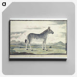 1-59_Robert-Jacob-Gordon_canvas