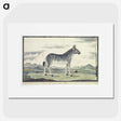 1-59_Robert-Jacob-Gordon_picture