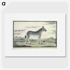 1-59_Robert-Jacob-Gordon_picture