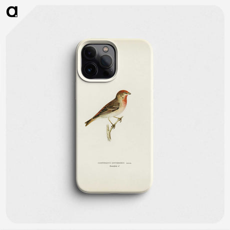 1-59_Svenska-Faglar_phone