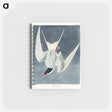 アートメモ帳-Great Tern from Birds of America
 - アメリカの鳥たち Memo.