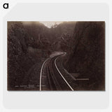 1-59_The-Burton-Brothers_picture-crop