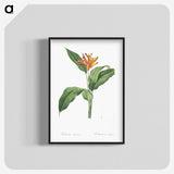 1-59_The-Lilies_blk-crop