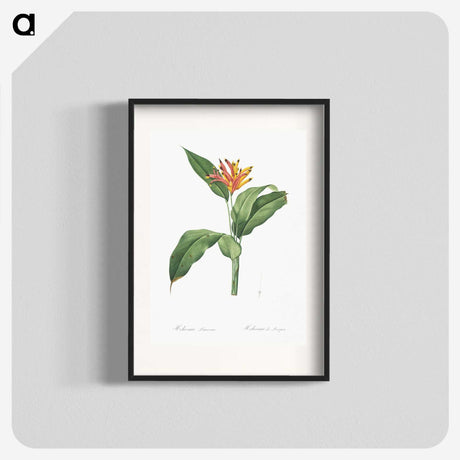 1-59_The-Lilies_blk