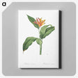 1-59_The-Lilies_canvas