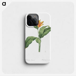1-59_The-Lilies_phone