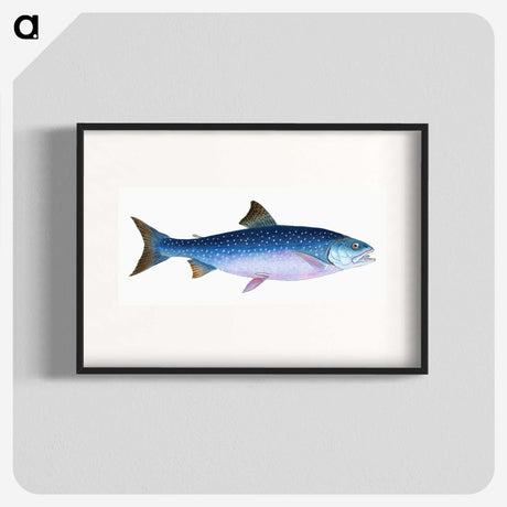 1-59_The-Natural-History-of-British-Fishes_blk