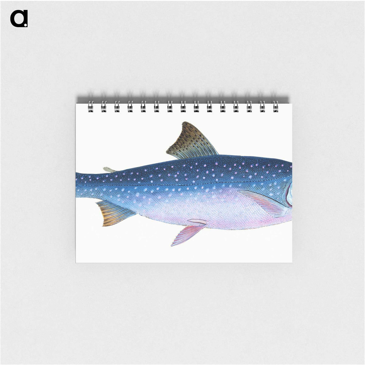 1-59_The-Natural-History-of-British-Fishes_memo