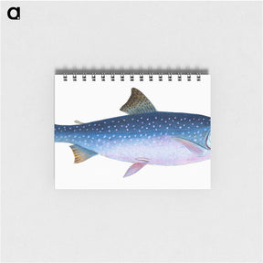 1-59_The-Natural-History-of-British-Fishes_memo