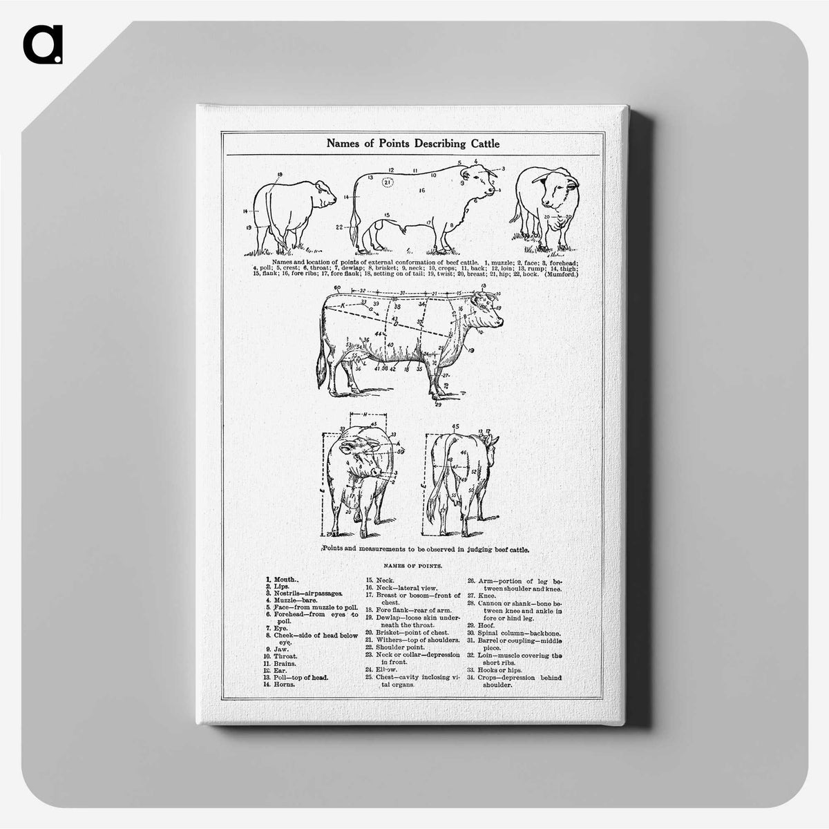 1-59_The-Open-Door-to-Independence_canvas