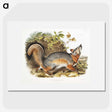 1-59_The-Viviparous-Quadrupeds_picture