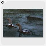 1-59_Thiel-Gallery_picture-crop