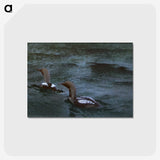 1-59_Thiel-Gallery_postcard