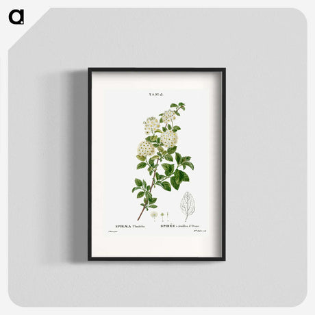 1-59_Treatise-on-Trees-and-Shrubs_blk