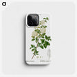 1-59_Treatise-on-Trees-and-Shrubs_phone