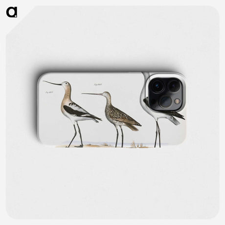 1-59_Zoology-of-New-York_phone