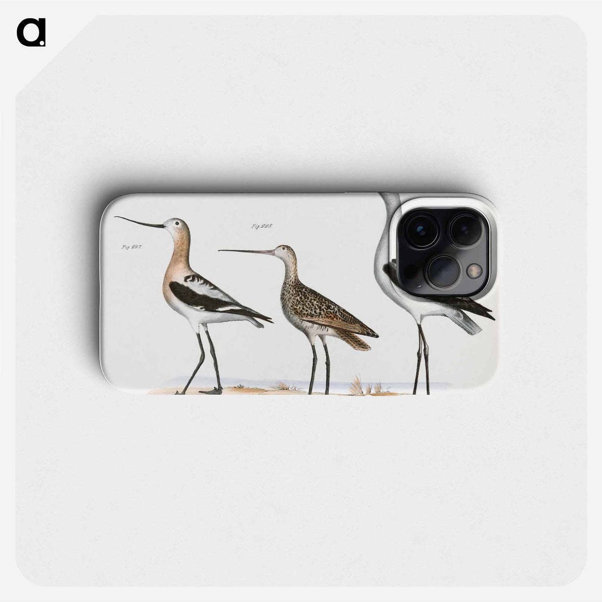 American Avoset (Recurvirostra americana) - ニューヨークの動物学 Phone Case.