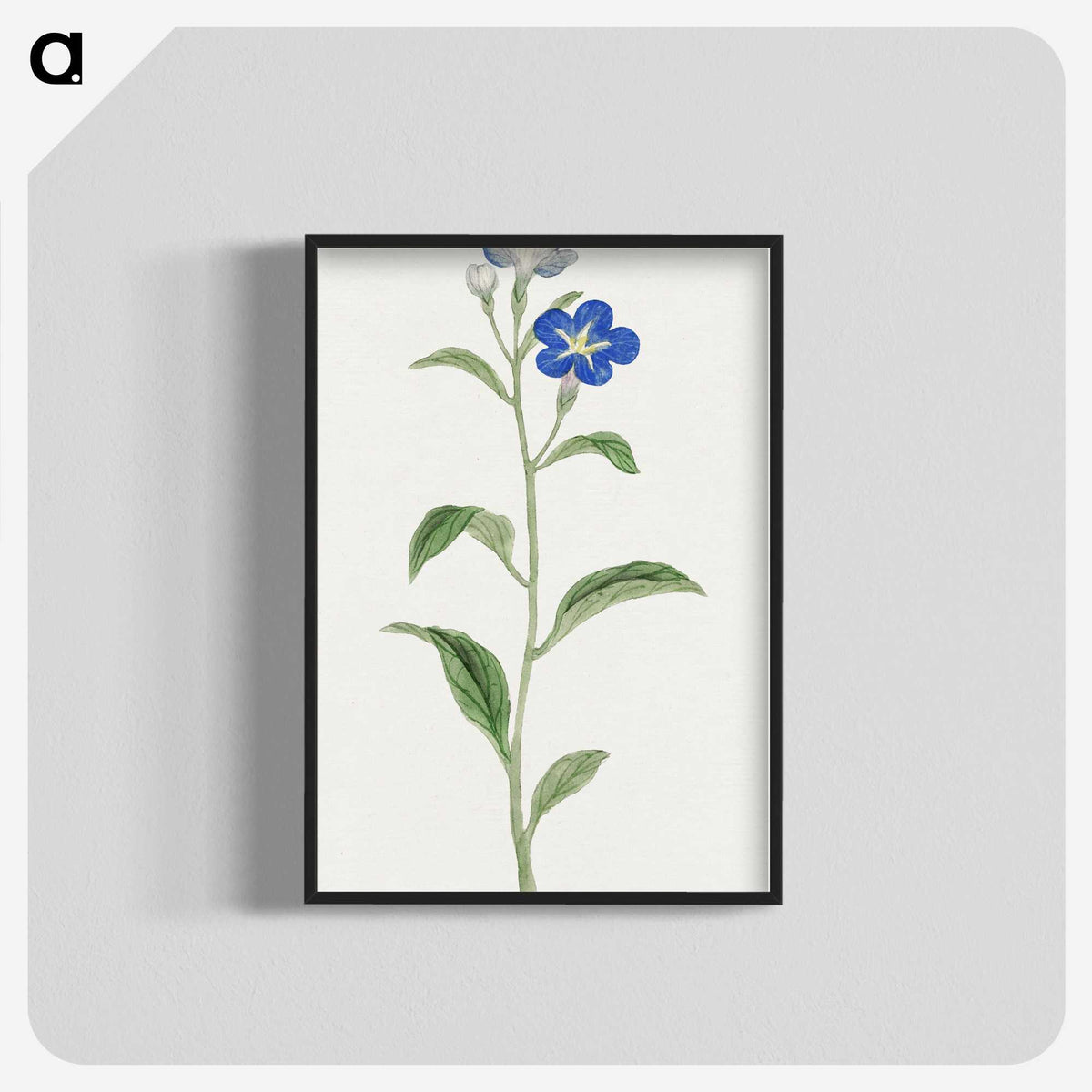 1-5_19th-Century-Japanese-Flowers_blk-crop