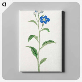 アートパネル-Hotarugusa - 19世紀の日本の花 Canvas.