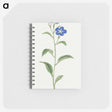 1-5_19th-Century-Japanese-Flowers_memo