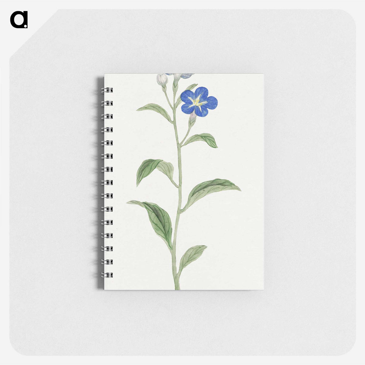 1-5_19th-Century-Japanese-Flowers_memo