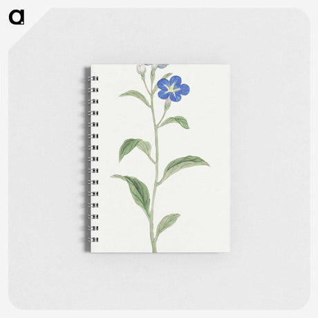 1-5_19th-Century-Japanese-Flowers_memo