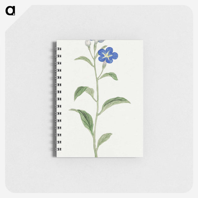 1-5_19th-Century-Japanese-Flowers_memo