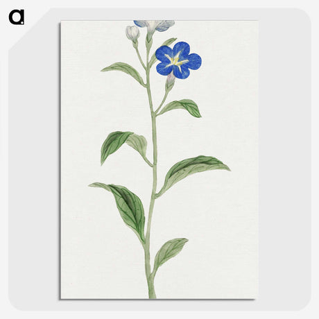 1-5_19th-Century-Japanese-Flowers_picture-crop