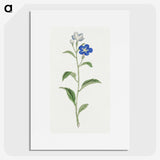 1-5_19th-Century-Japanese-Flowers_picture