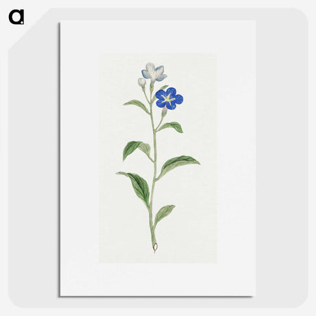 1-5_19th-Century-Japanese-Flowers_picture