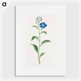 Hotarugusa - 19世紀の日本の花 Poster.