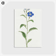 1-5_19th-Century-Japanese-Flowers_postcard