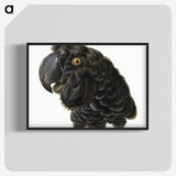 1-5_Aert-Schouman_blk-crop