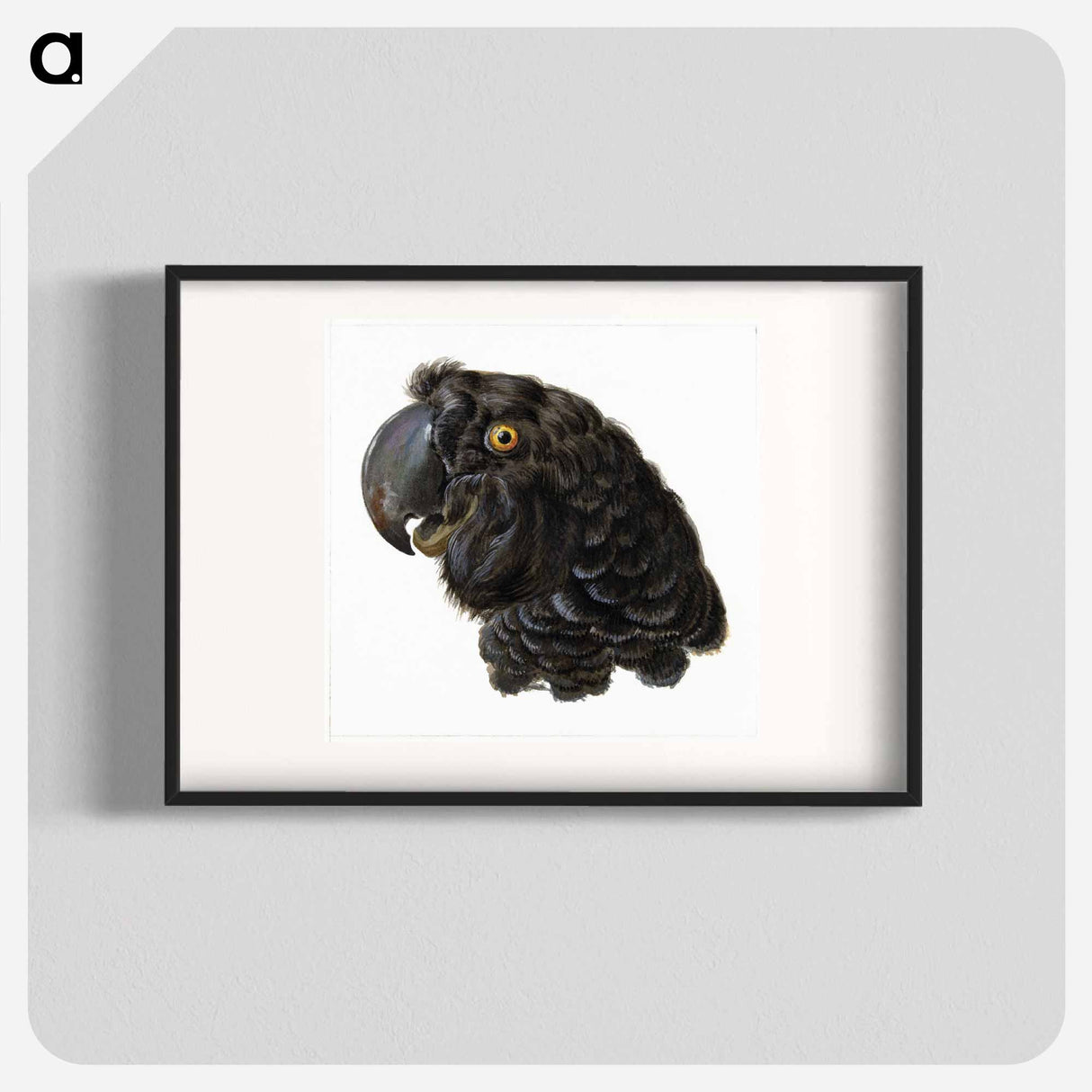 Head of a Cockatoo - アールト シューマン Poster.
