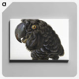 1-5_Aert-Schouman_canvas