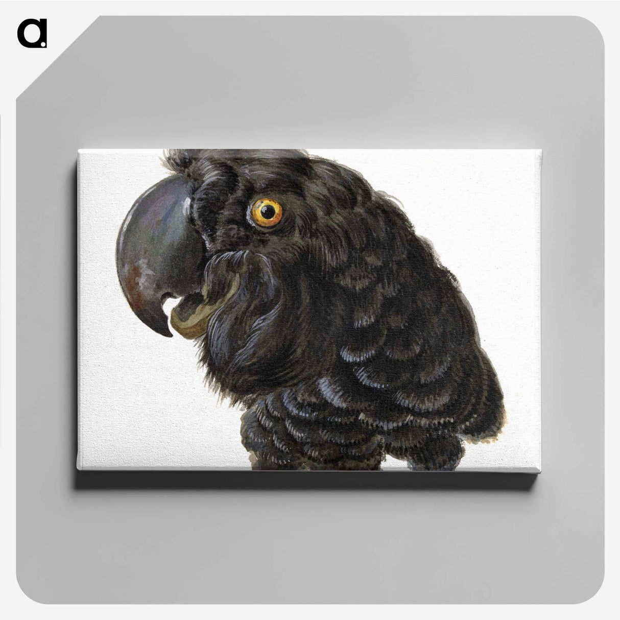 Head of a Cockatoo - アールト シューマン Canvas.