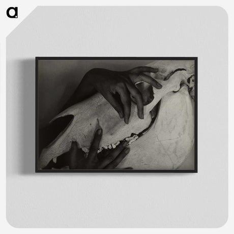 1-5_Alfred-Stieglitz_blk-crop