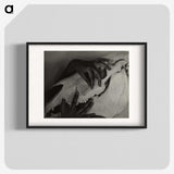 1-5_Alfred-Stieglitz_blk