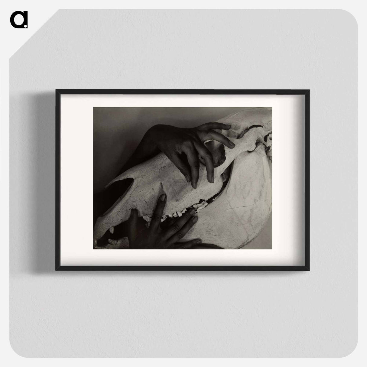 Hands and Horse Skull - アルフレッド スティーグリッツ Poster.