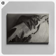 1-5_Alfred-Stieglitz_canvas
