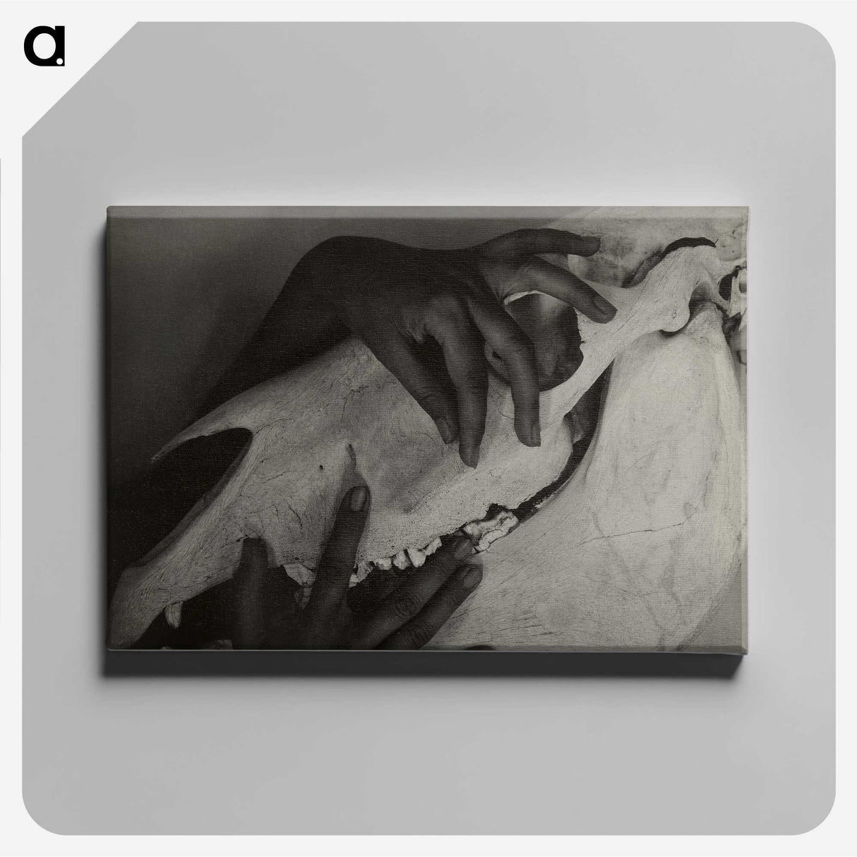 1-5_Alfred-Stieglitz_canvas