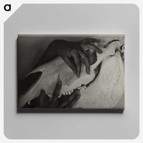 1-5_Alfred-Stieglitz_canvas